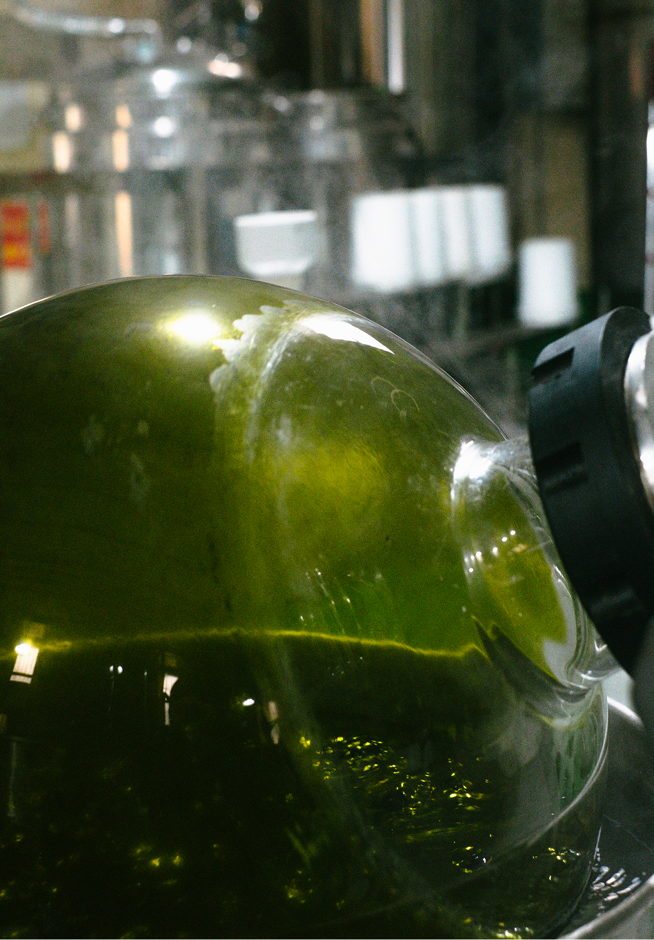 Where People Shape Identity